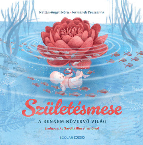 Születésmese - A bennem növekvő világ termékhez kapcsolódó kép