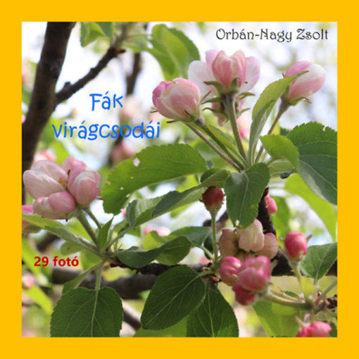 Fák virágcsodái termékhez kapcsolódó kép