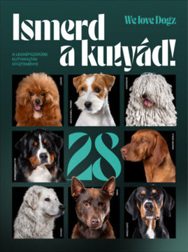 Ismerd a kutyád! - A legnépszerűbb kutyafajták gyűjteménye termékhez kapcsolódó kép