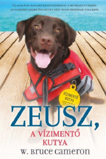 Zeusz - A vízimentő kutya - Kutyák küldetésen 1. termékhez kapcsolódó kép