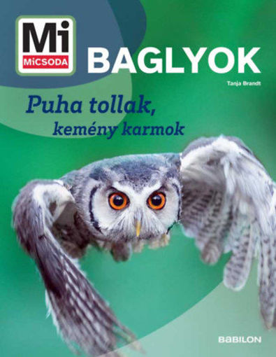 Baglyok - Mi MICSODA ÚJ - Puha tollak, kemény karmok termékhez kapcsolódó kép
