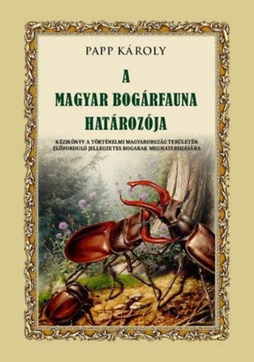A magyar bogárfauna határozója termékhez kapcsolódó kép