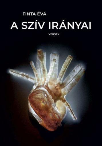 A szív irányai termékhez kapcsolódó kép