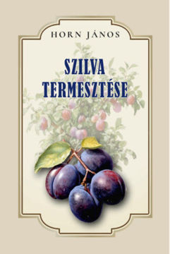 Szilva termesztése termékhez kapcsolódó kép