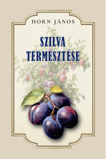 Szilva termesztése termékhez kapcsolódó kép