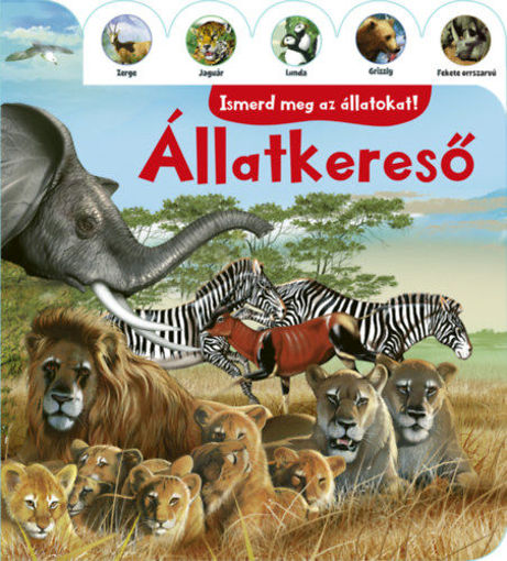 Állatkereső - Ismerd meg az állatokat! termékhez kapcsolódó kép