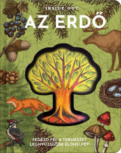 Az erdő termékhez kapcsolódó kép