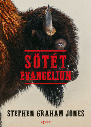 Sötét evangélium termékhez kapcsolódó kép