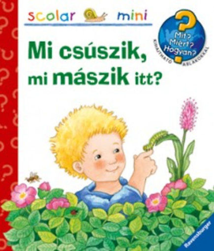 Mi csúszik, mi mászik itt?  termékhez kapcsolódó kép