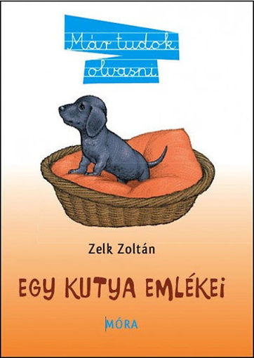 Egy kutya emlékei  - Már tudok olvasni 4. termékhez kapcsolódó kép