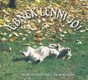 Ebnek lenni jó! termékhez kapcsolódó kép