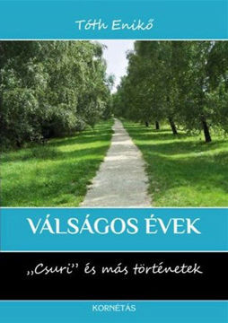 Válságos évek - Csuri és más történetek termékhez kapcsolódó kép