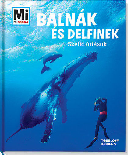 Bálnák és delfinek - Szelíd óriások termékhez kapcsolódó kép