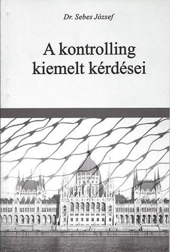 A kontrolling kiemelt kérdései termékhez kapcsolódó kép