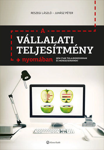 A vállalati teljesítmény nyomában - Nemcsak tulajdonosoknak és menedzsereknek! termékhez kapcsolódó kép