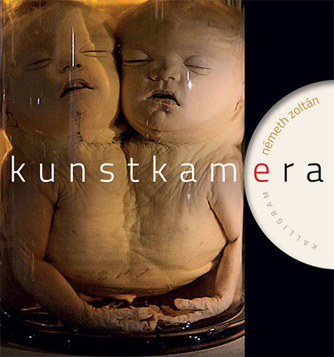 Kunstkamera termékhez kapcsolódó kép