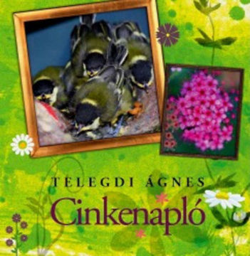 Cinkenapló termékhez kapcsolódó kép