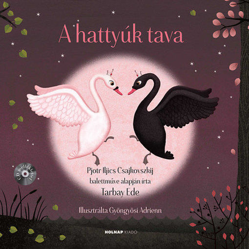 A hattyúk tava termékhez kapcsolódó kép