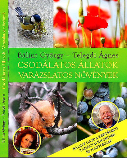 Csodálatos állatok - varázslatos növények - Bálint gazda kertészeti tanácsai kicsiknek és nagyoknak termékhez kapcsolódó kép