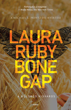 Bone Gap - A különös kisváros termékhez kapcsolódó kép