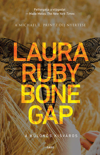 Bone Gap - A különös kisváros termékhez kapcsolódó kép