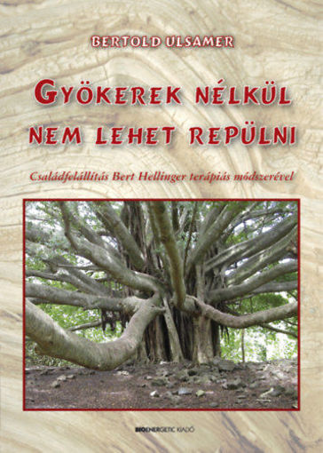 Gyökerek nélkül nem lehet repülni - Családállítás Bert Hellinger terápiás módszerével termékhez kapcsolódó kép