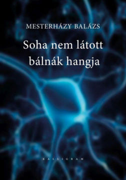 Soha nem látott bálnák hangja termékhez kapcsolódó kép