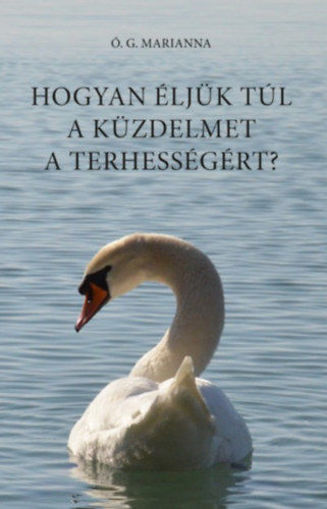 Hogyan éljük túl a küzdelmet a terhességért? termékhez kapcsolódó kép