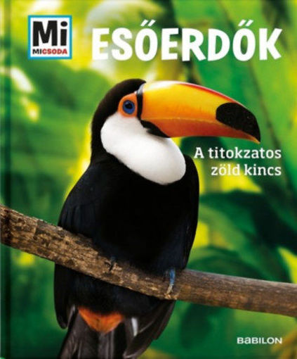Esőerdők - A titokzatos zöld kincs - Mi micsoda termékhez kapcsolódó kép