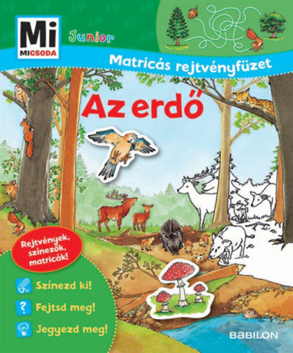 Az erdő - Mi Micsoda Junior Matricás rejtvényfüzet termékhez kapcsolódó kép