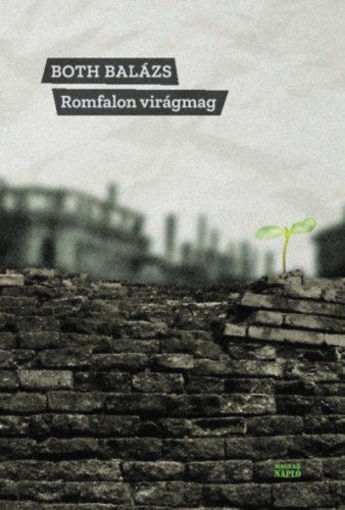 Romfalon virágmag termékhez kapcsolódó kép