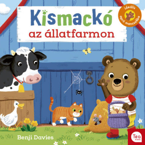 Kismackó az állatfarmon termékhez kapcsolódó kép