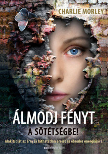 Álmodj fényt a sötétségbe! - Alakítsd át az árnyék láthatatlan erejét az ébredés energiájává termékhez kapcsolódó kép
