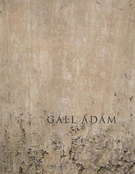 Eltűnésmintázatok termékhez kapcsolódó kép