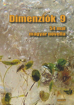 Dimenziók 9 - 53 mai magyar novella termékhez kapcsolódó kép