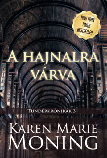 A hajnalra várva - Tündérkrónikák 3. termékhez kapcsolódó kép
