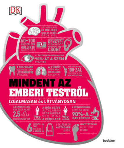 Mindent az emberi testről - Izgalmasan és látványosan termékhez kapcsolódó kép