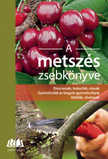 A metszés zsebkönyve - Díszcserjék, bokorfák, rózsák. Gyümölcsfák és bogyós gyümölcsfajok. Alakfák, sövények termékhez kapcsolódó kép