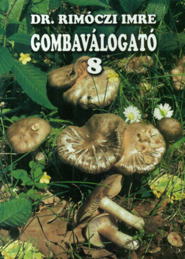 Gombaválogató 8. termékhez kapcsolódó kép