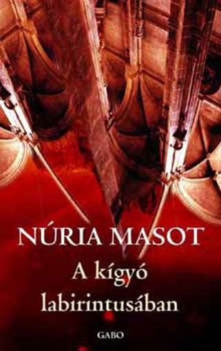 A kígyó labirintusában termékhez kapcsolódó kép