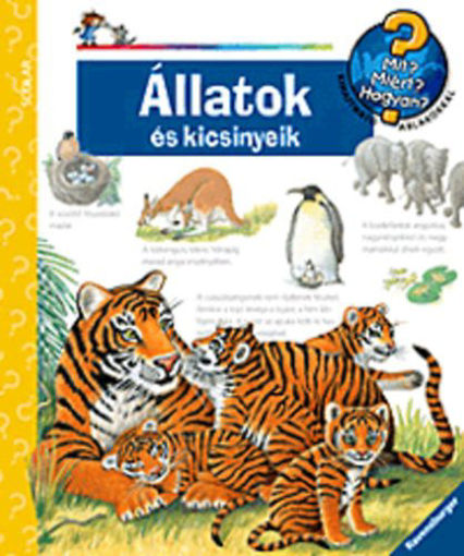 Állatok és kicsinyeik  - Mit? Miért? Hogyan? 12. termékhez kapcsolódó kép
