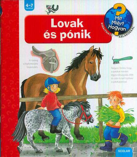 Lovak és pónik - Mit? Miért? Hogyan? 13. termékhez kapcsolódó kép