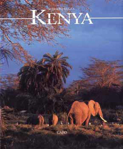 Kenya termékhez kapcsolódó kép