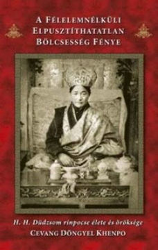 A félelemnélküli elpusztíthatatlan bölcsesség fénye termékhez kapcsolódó kép