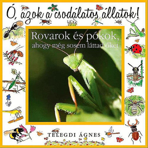 Ó, azok a csodálatos állatok!  - Rovarok és pókok - AHOGY MÉG SOSEM LÁTTAD ŐKET termékhez kapcsolódó kép