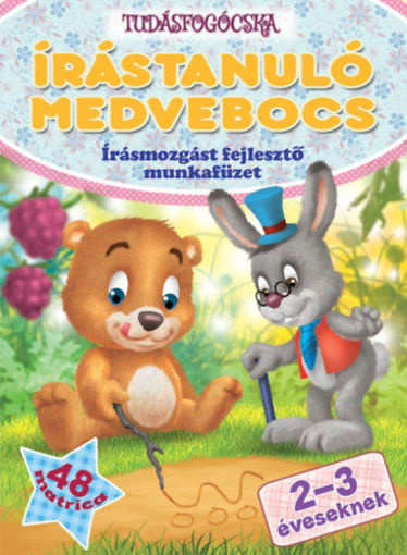 Írástanuló medvebocs - Írásmozgást fejlesztő munkafüzet 2-3 éveseknek termékhez kapcsolódó kép