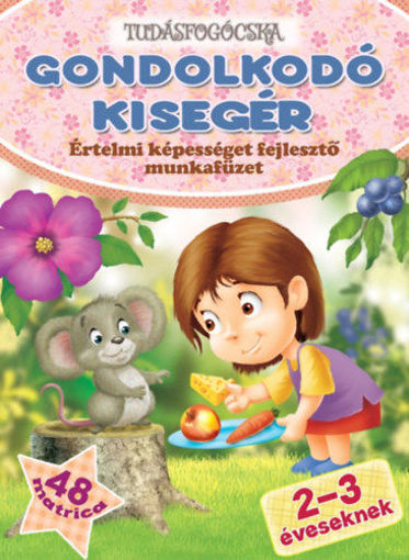 Gondolkodó kisegér - Értelmi képességet fejlesztő munkafüzet 2-3 éveseknek termékhez kapcsolódó kép