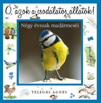 Ó, azok a csodálatos állatok - Négy évszak madármeséi termékhez kapcsolódó kép
