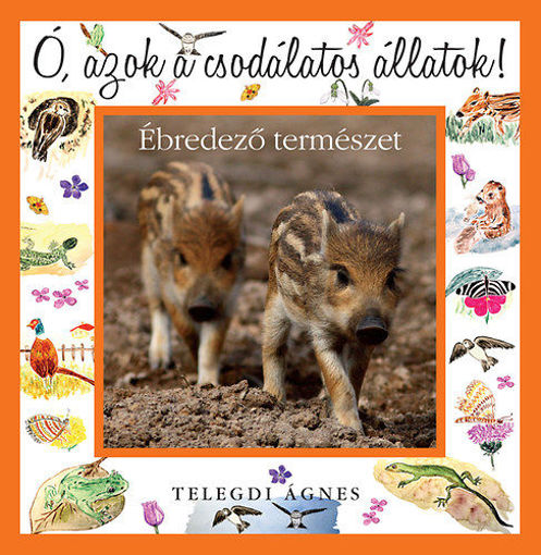 Ó, azok a csodálatos állatok! - Ébredező természet termékhez kapcsolódó kép