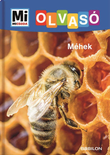 Méhek - Mi Micsoda Olvasó termékhez kapcsolódó kép